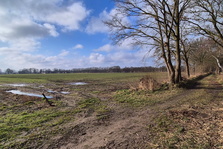 Van Rijckevorselweg, Vinkel (Gem. Den Bosch)