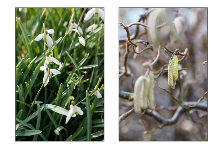 Foto 24 van Citadeldrift 27