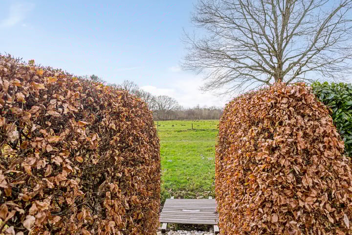 Foto 55 van 't Gebint 48