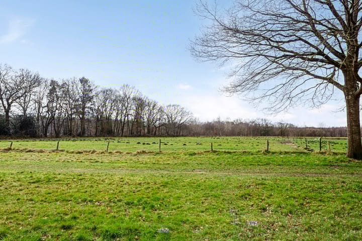 Foto 58 van 't Gebint 48