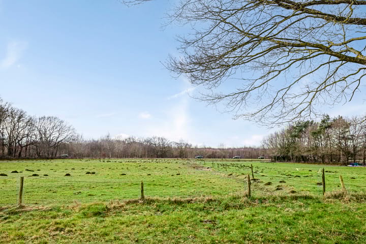 Foto 60 van 't Gebint 48