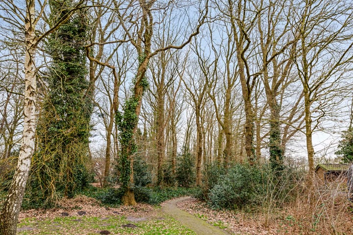 Foto 72 van 't Gebint 48