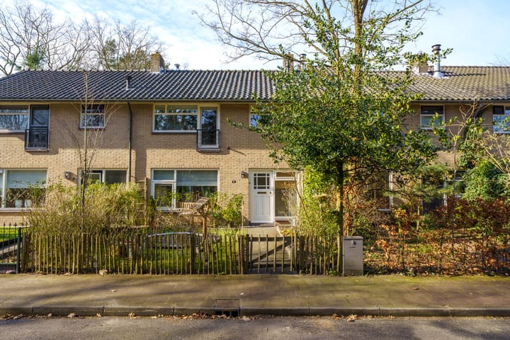 Foto 5 van Boudewijnplantsoen 9