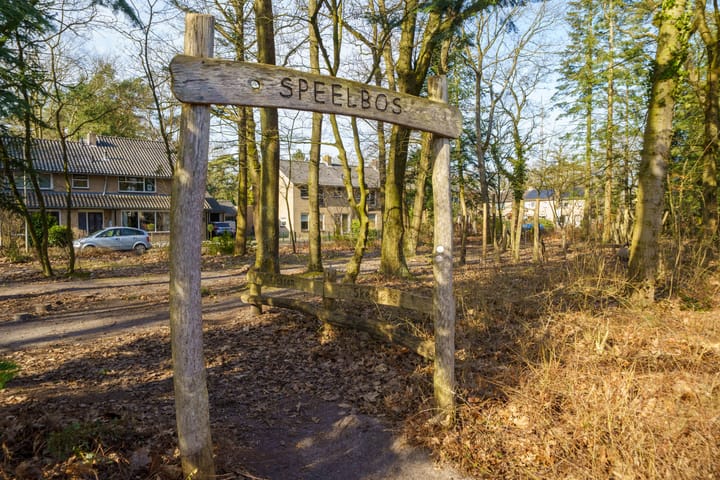 Foto 51 van Boudewijnplantsoen 9