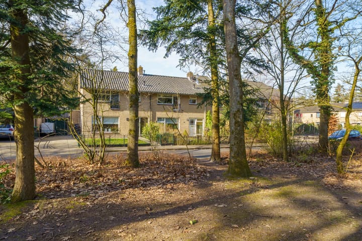 Foto 50 van Boudewijnplantsoen 9