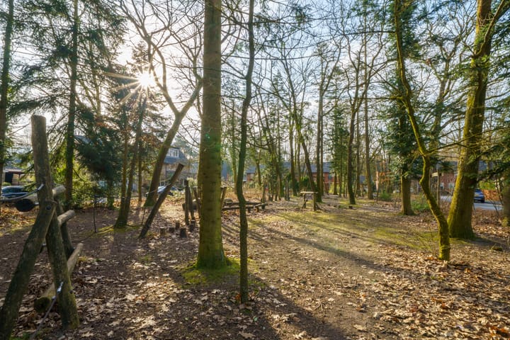 Foto 52 van Boudewijnplantsoen 9