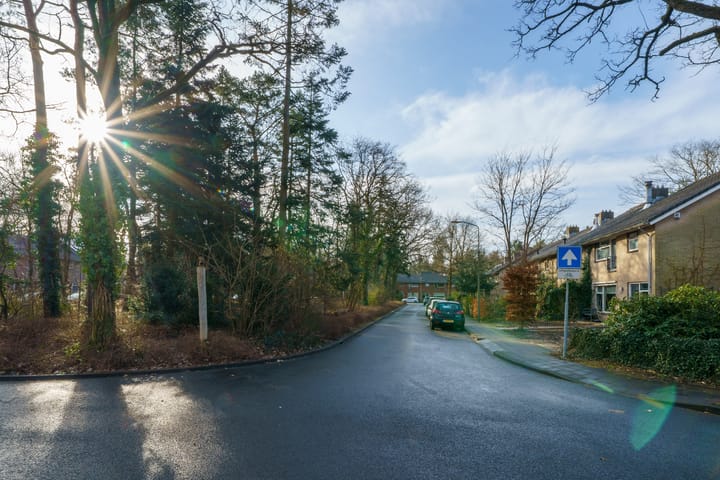 Foto 53 van Boudewijnplantsoen 9