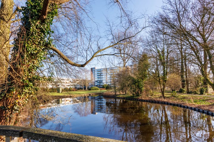 Photo 4 of Apollolaan 480