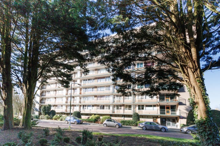 Photo 29 of Apollolaan 480