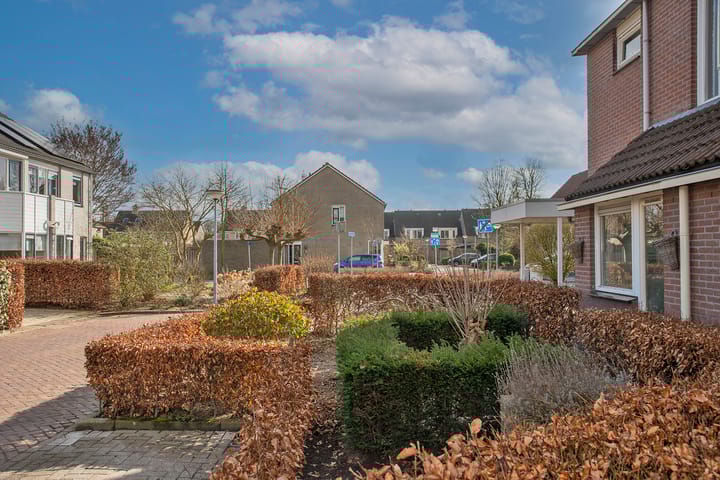 Foto 2 van Kalmoes 42