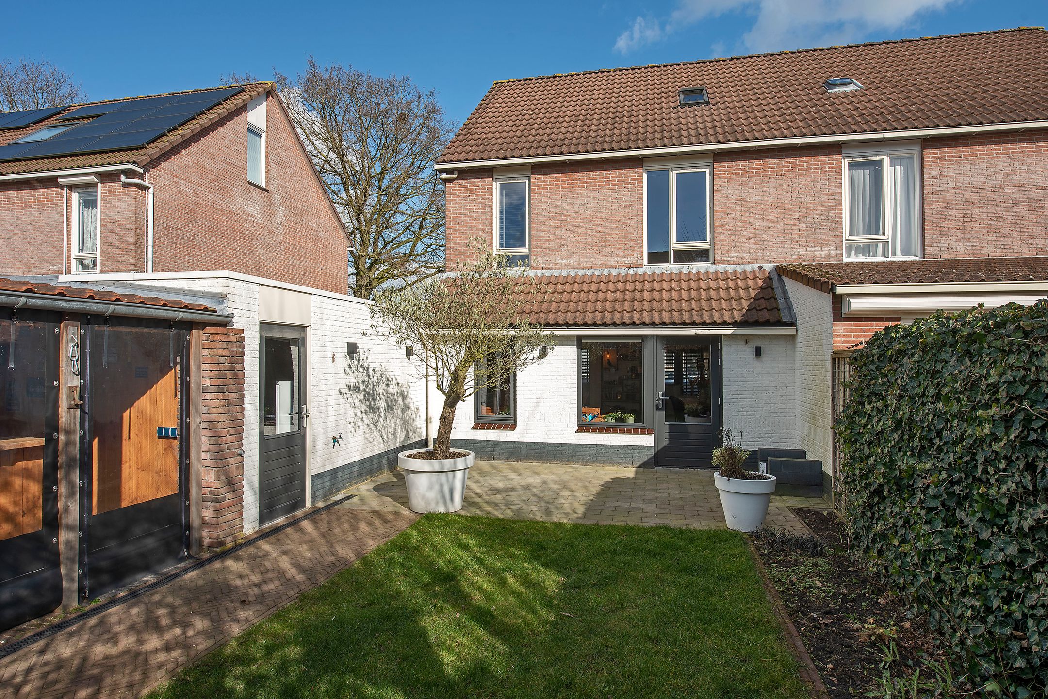 Foto 24 van Kalmoes 42