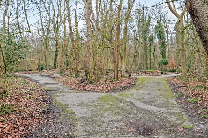 Foto 47 van Schelpweg 12