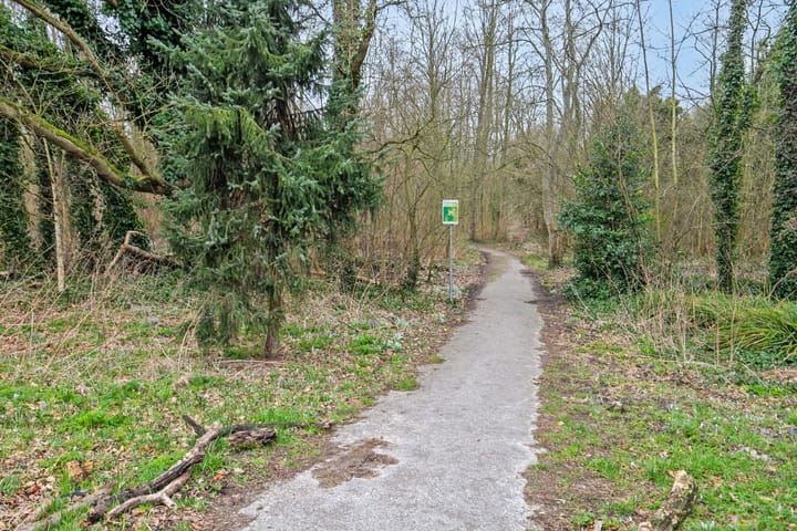 Foto 48 van Schelpweg 12