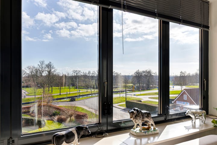 Foto 13 van Suvelstrjitte 12