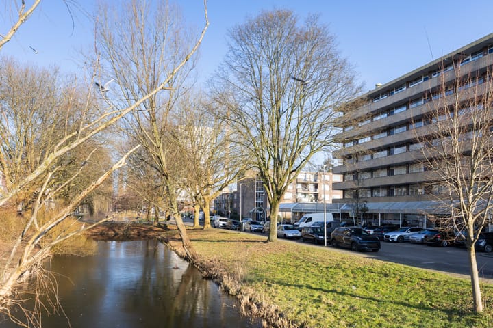 Foto 6 van Marco Pololaan 193