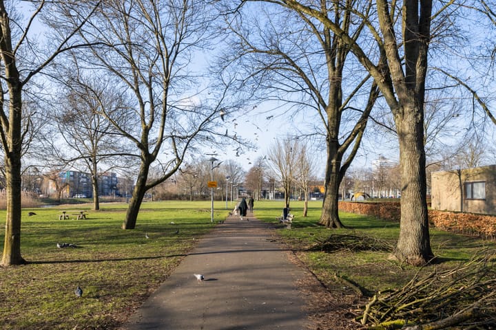 Foto 41 van Marco Pololaan 193