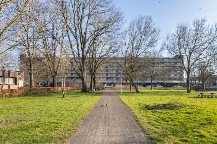 Foto 42 van Marco Pololaan 193