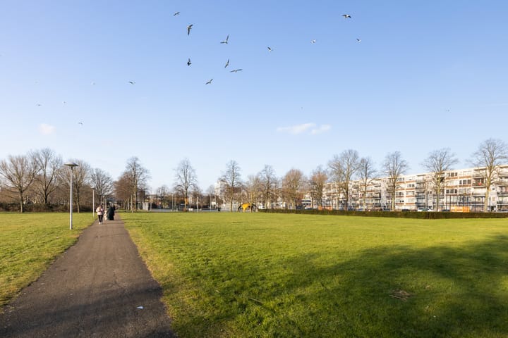 Foto 43 van Marco Pololaan 193