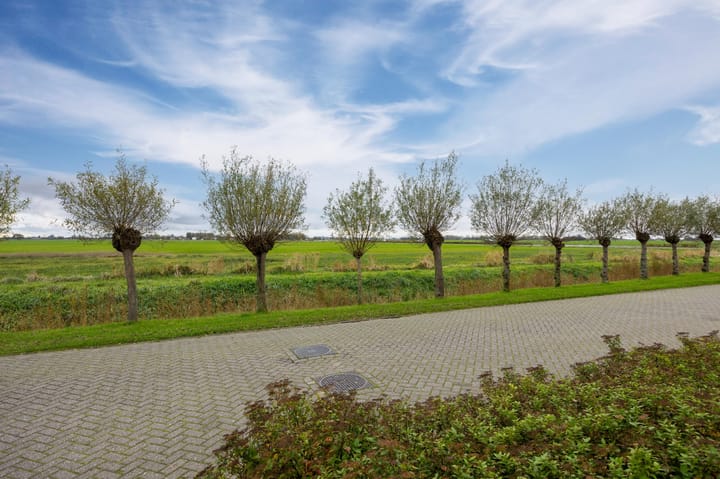 Foto 62 van Luniastate 19