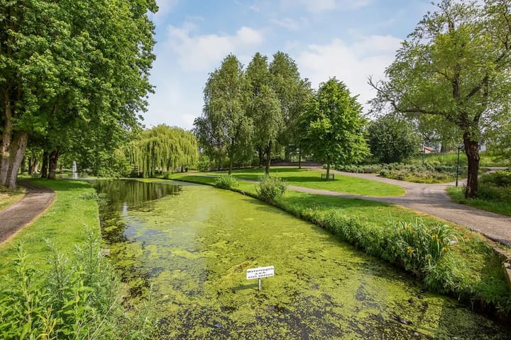 Foto 28 van Oranjelaan 99