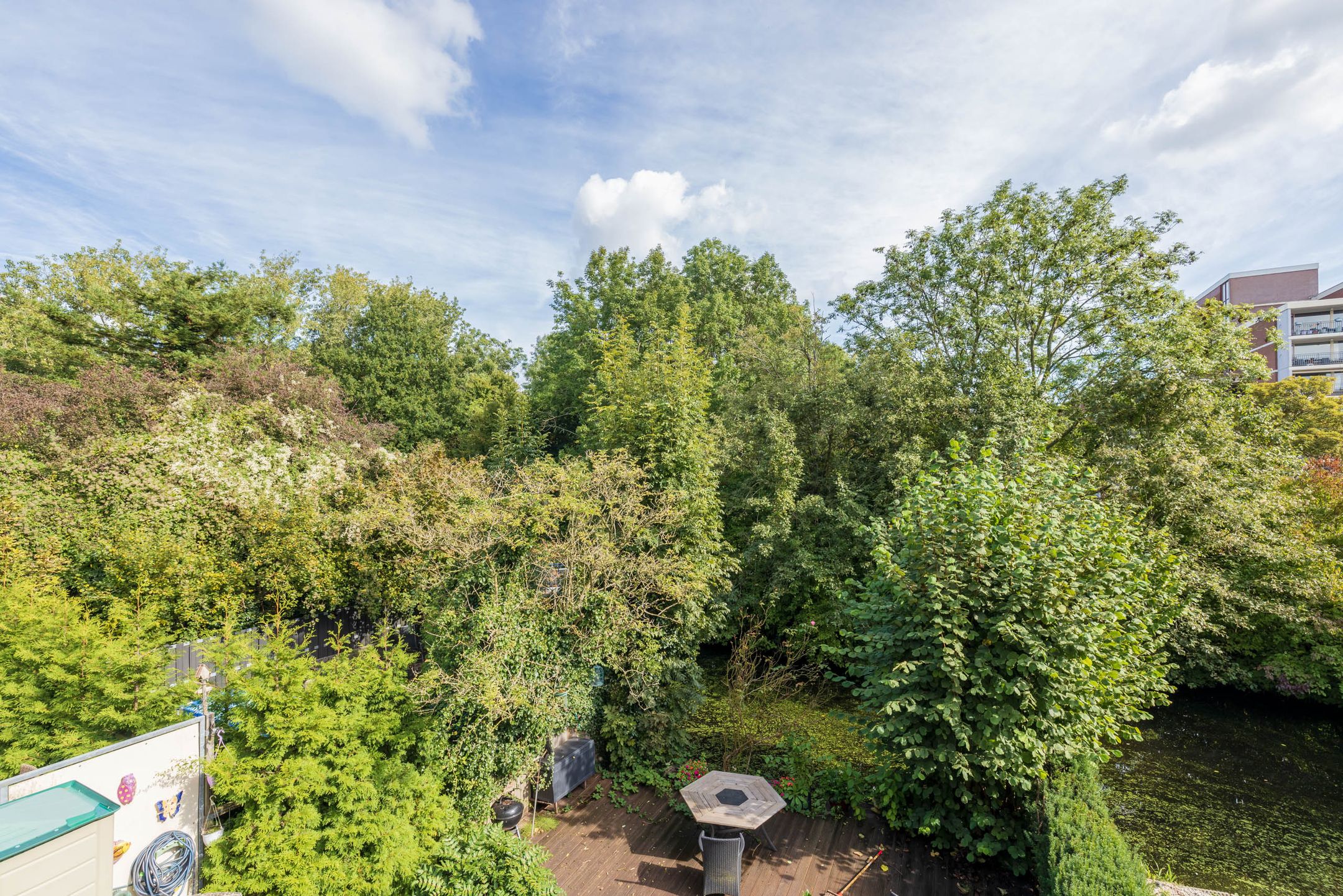 Foto 27 van Rosmolen 42