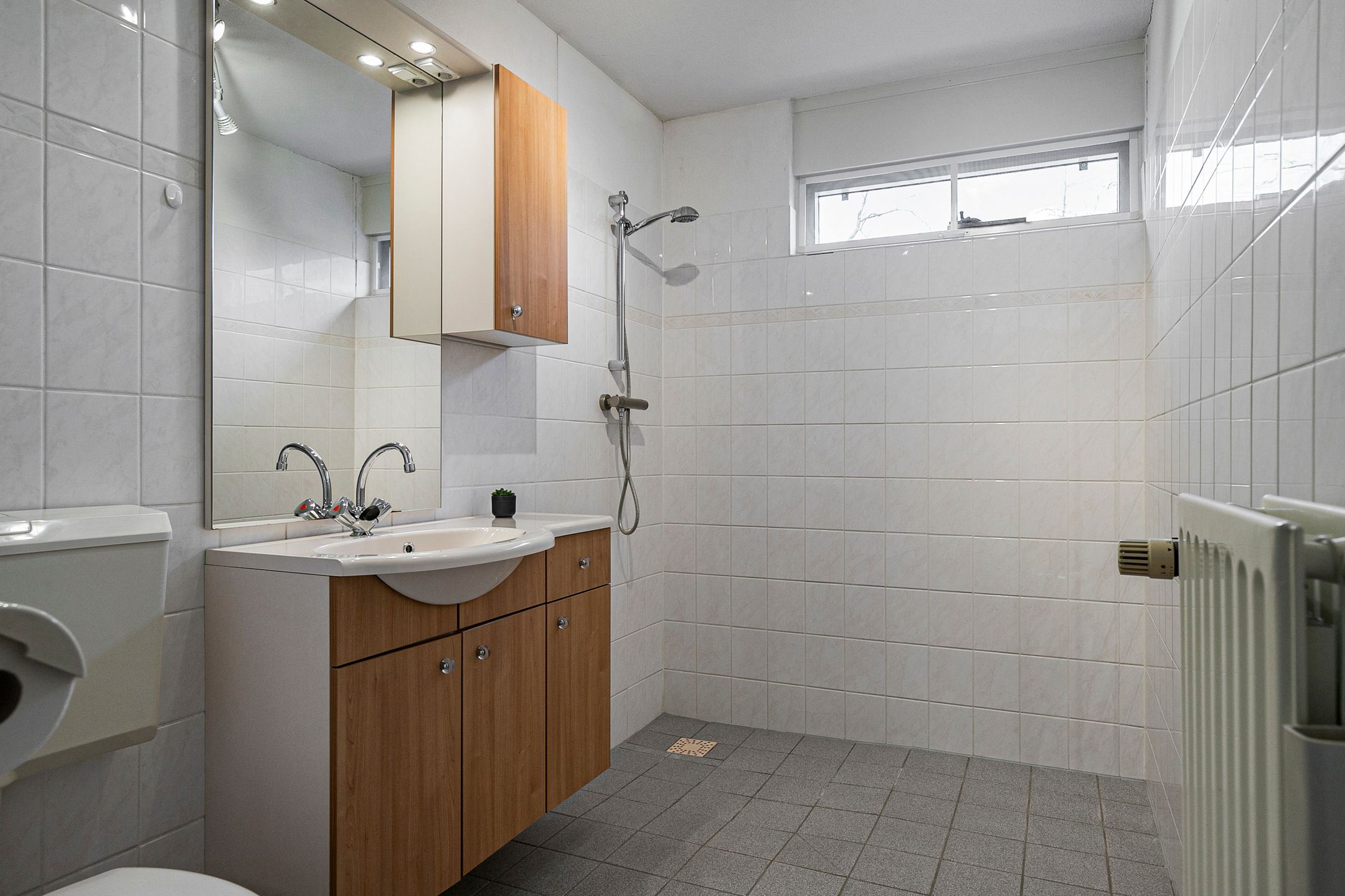 Foto 12 van Dalkruid 10