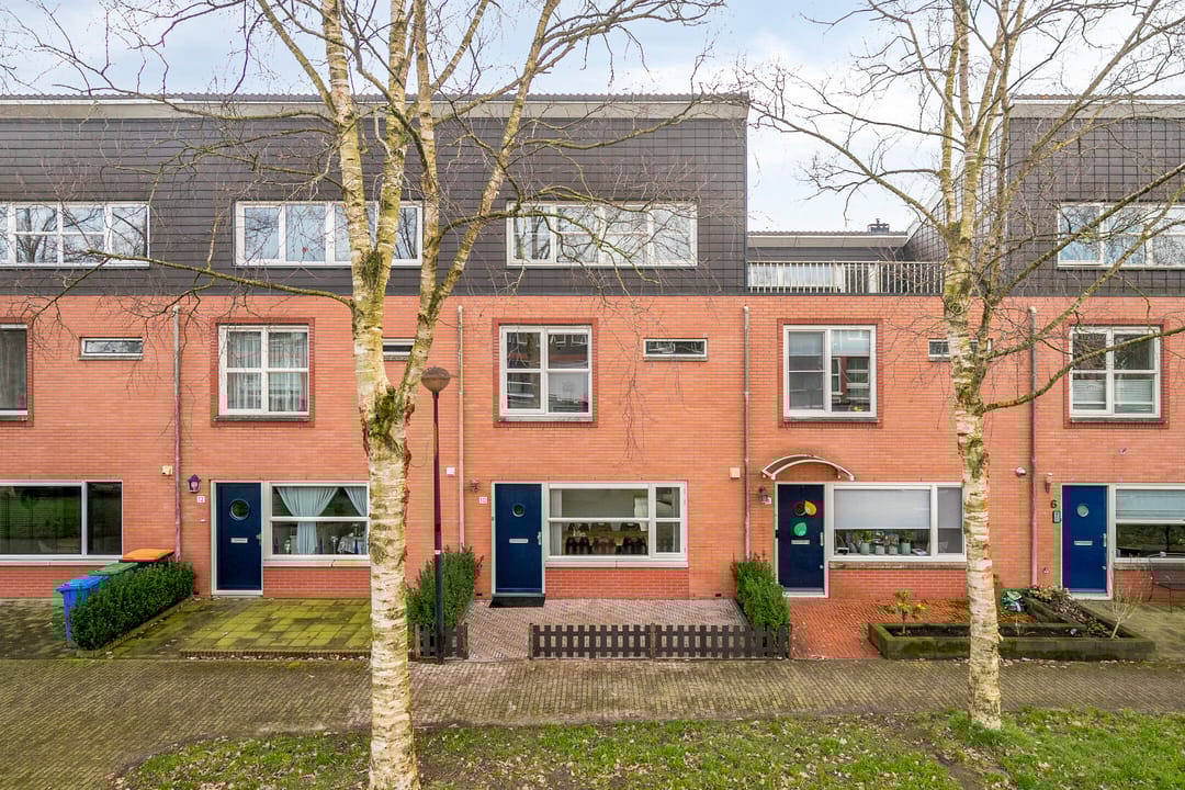 Foto 1 van Dalkruid 10