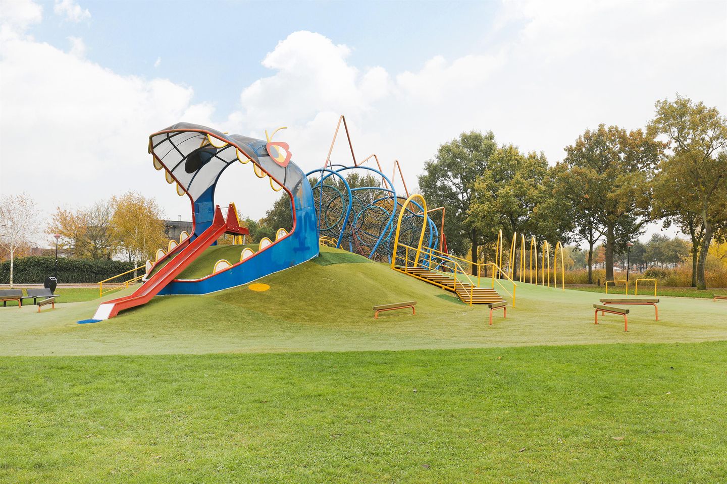 Foto 25 van Dalkruid 10