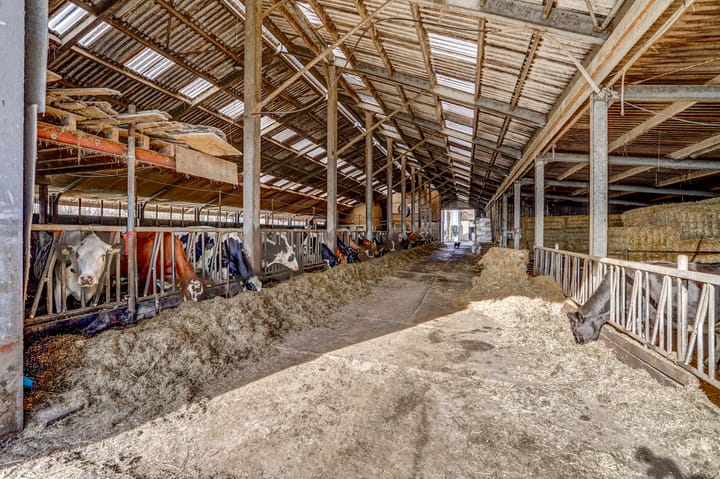 Foto 53 van Nieuwe Veer 105