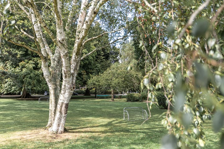 Foto 81 van Zonnebloemlaan 29