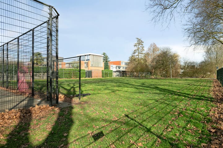 Foto 37 van Zomerdoorn 20