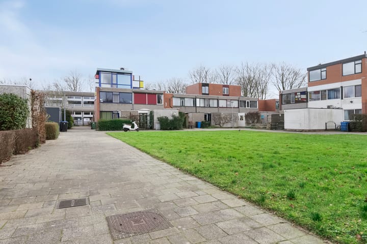 Foto 38 van Zomerdoorn 20