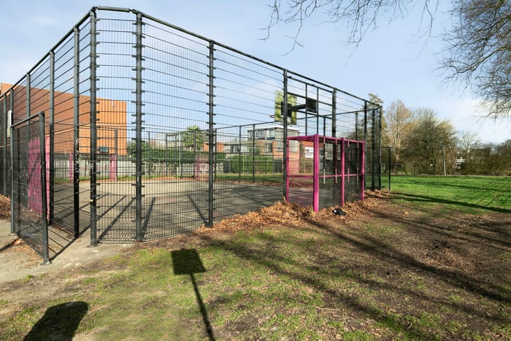 Foto 39 van Zomerdoorn 20