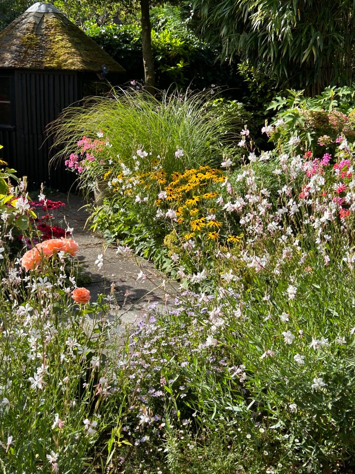 Foto 55 van W. Denijslaan 15