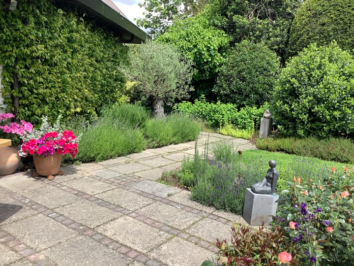 Foto 52 van W. Denijslaan 15