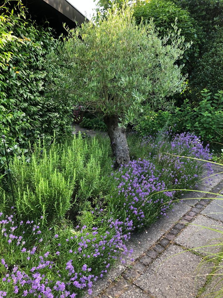 Foto 53 van W. Denijslaan 15