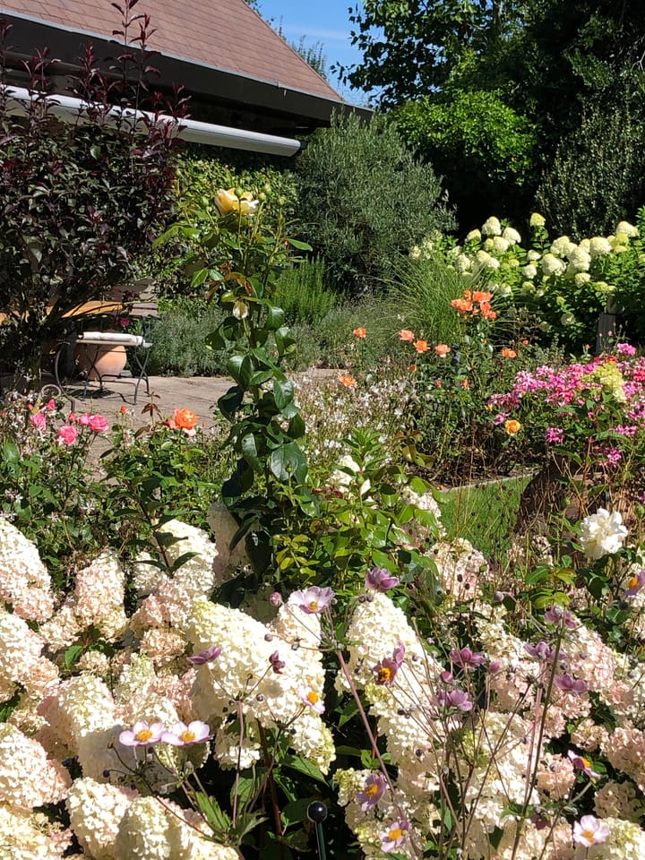 Foto 54 van W. Denijslaan 15