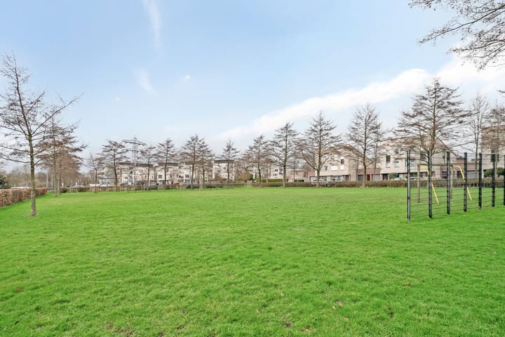 Foto 6 van Zilverschoonstraat 15