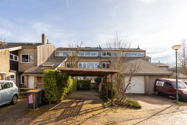 Foto 2 van Waterhoen 10