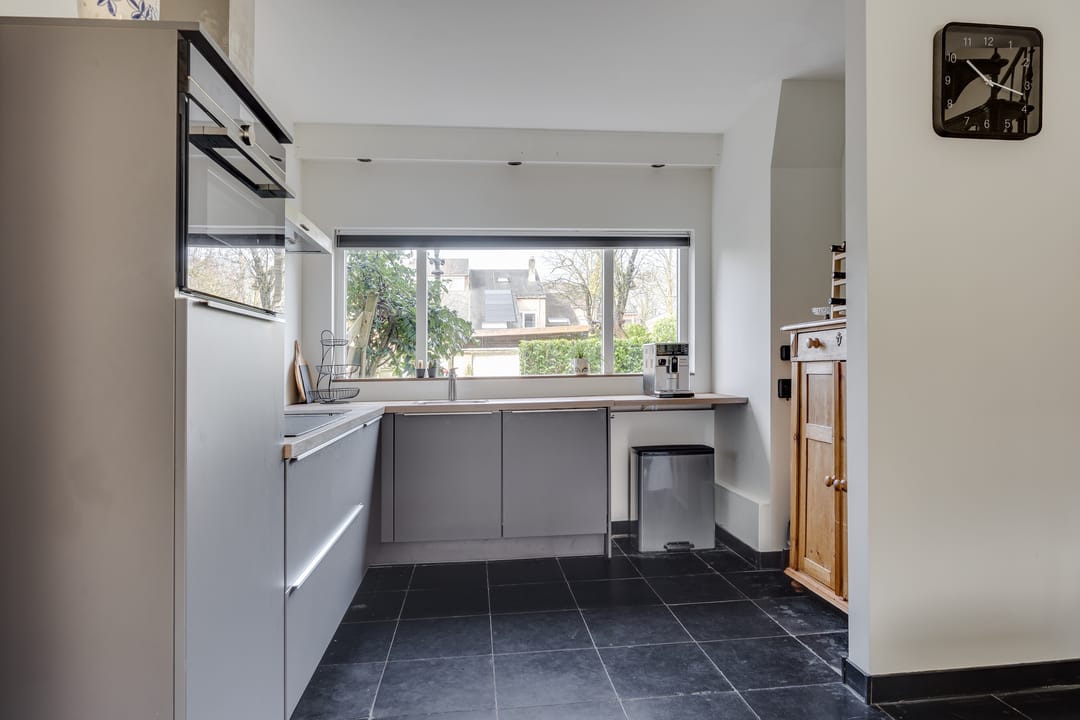 Foto 11 van Waterhoen 10