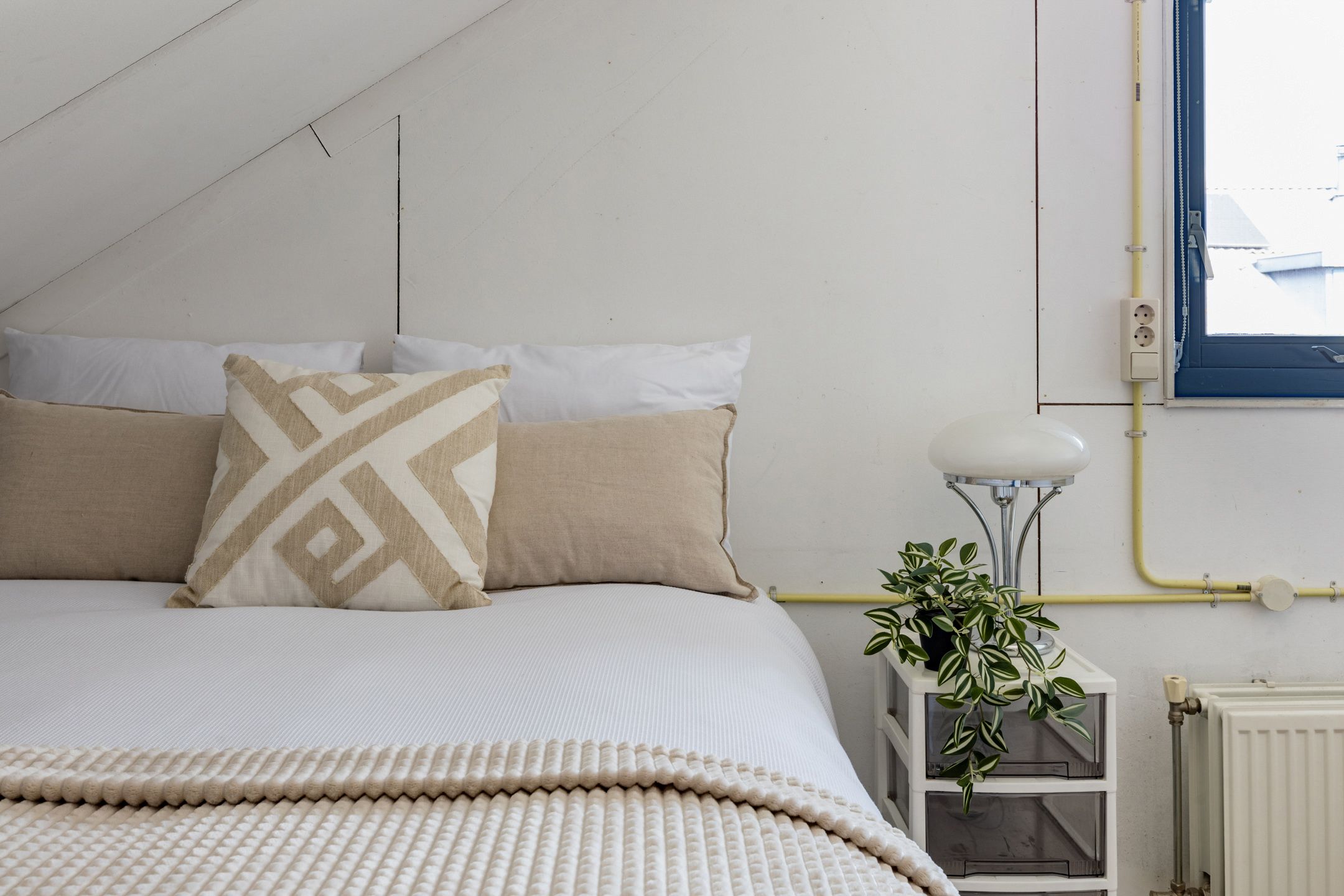 Foto 36 van Anna van Hogendorpland 30