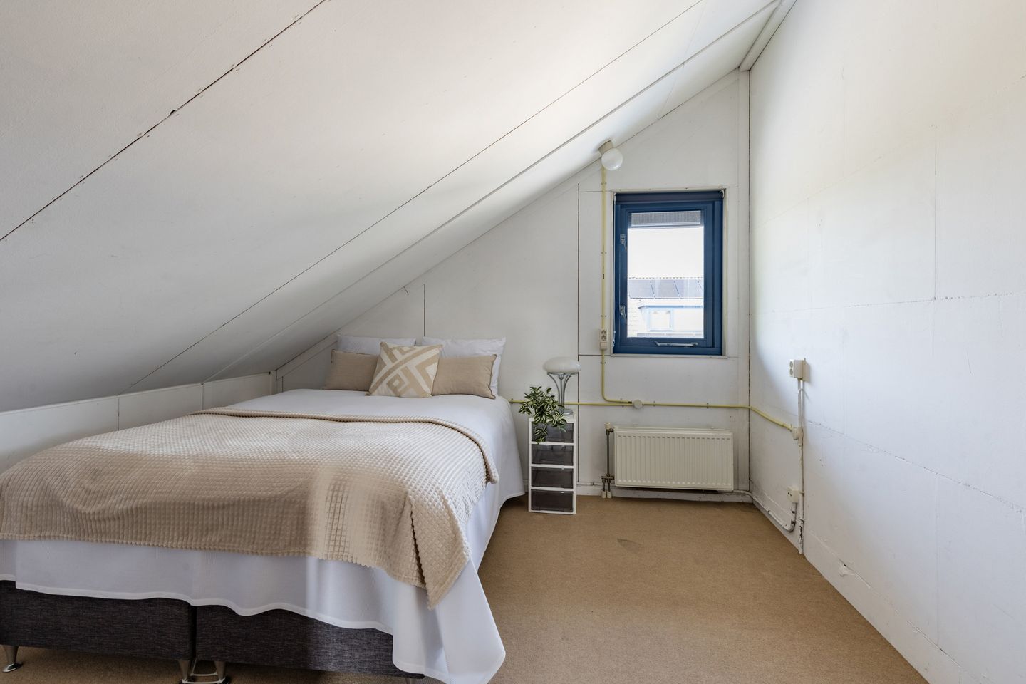 Foto 35 van Anna van Hogendorpland 30