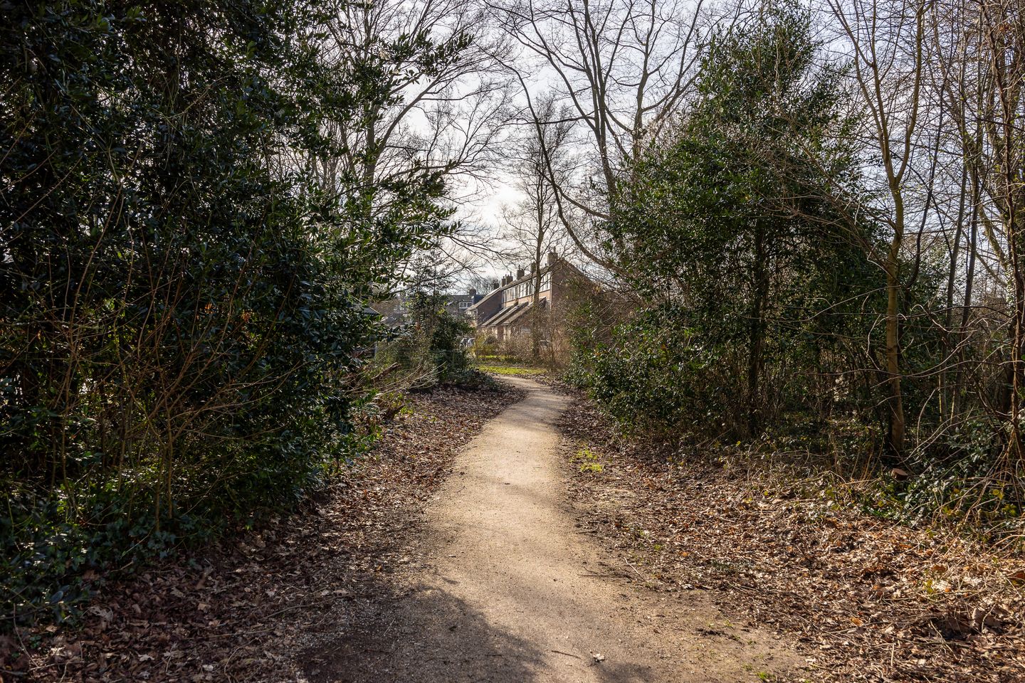 Foto 34 van Waterhoen 10