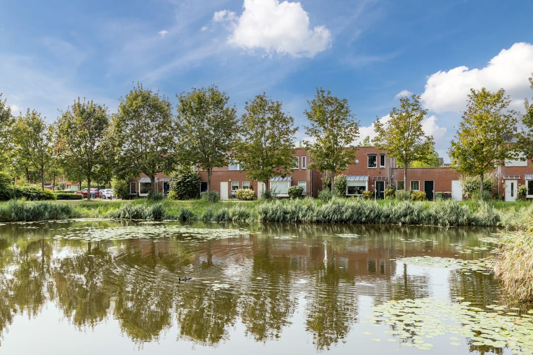 Foto 47 van Anna van Hogendorpland 30