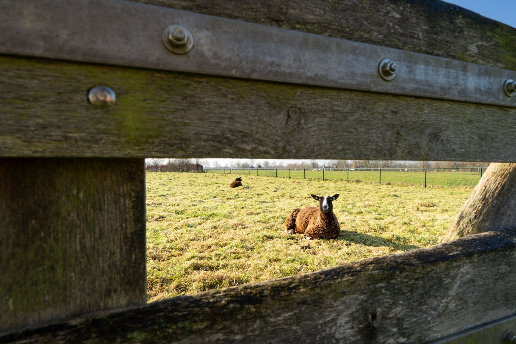 Foto 60 van Koepad 22