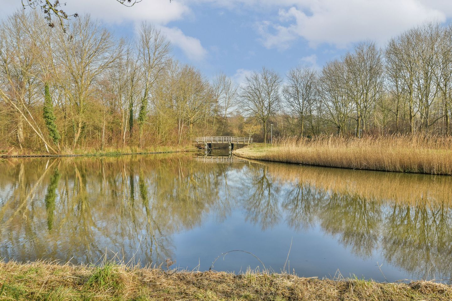 Photo 19 of Mijndenhof 42