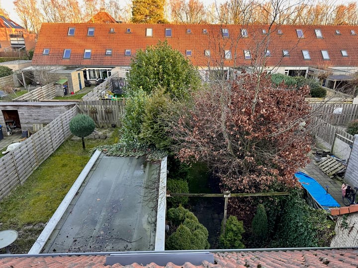 Foto 28 van Forel 20