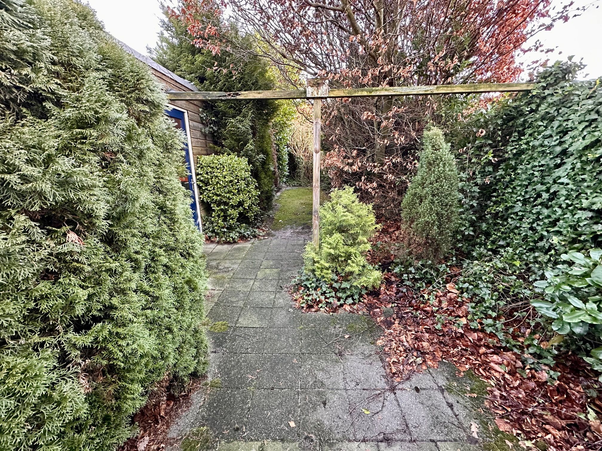 Foto 30 van Forel 20