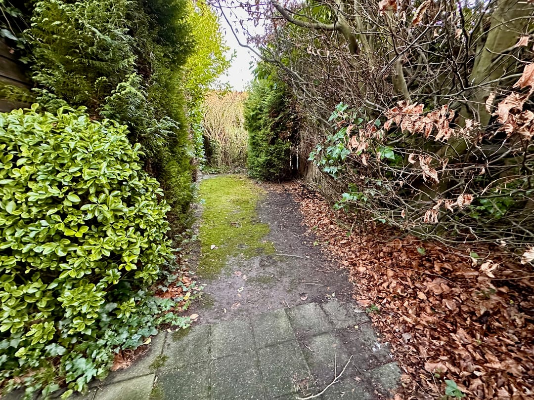 Foto 31 van Forel 20