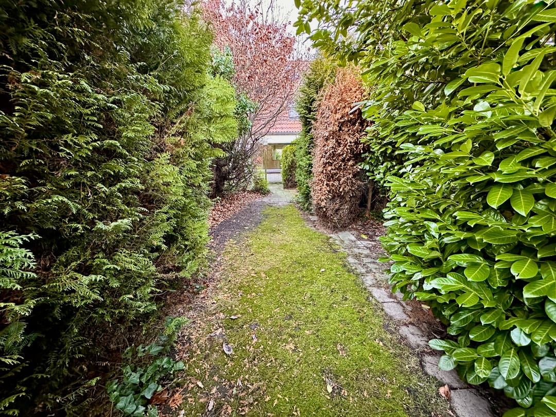 Foto 32 van Forel 20